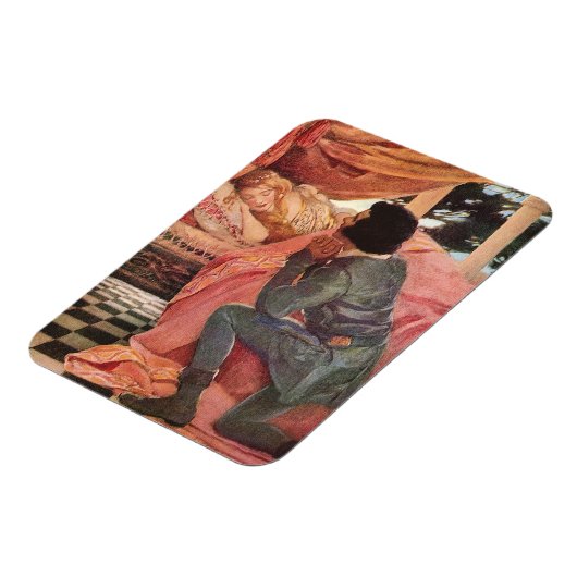 slaapschoonheid van Jessie Willcox Smith Magneet (Linkerzijde)