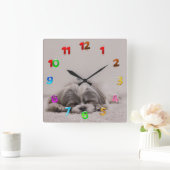 Slaapschotkast, slaaphond vierkante klok (Huis)