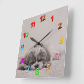 Slaapschotkast, slaaphond vierkante klok (Hoek)