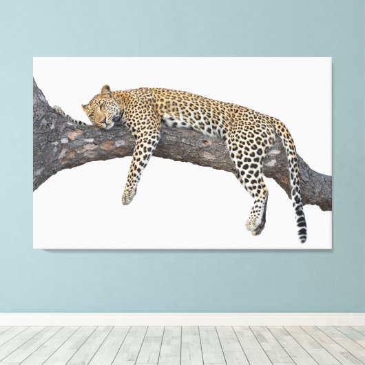 Slaapschutbord Canvas Afdruk (Insitu (Houten vloer))