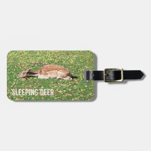 Slaapschutter in winterslaap in het najaar van de bagagelabel (Voorkant horizontaal)