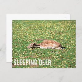 Slaapschutter in winterslaap in het najaar van de  feestdagenkaart