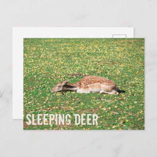 Slaapschutter in winterslaap in het najaar van de feestdagenkaart (Voorkant / Achterkant)