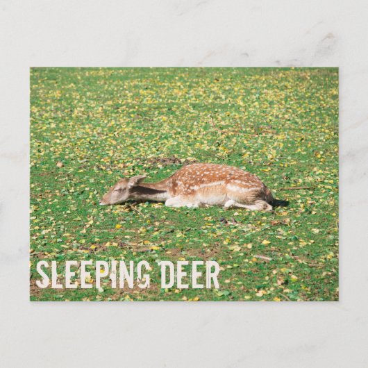 Slaapschutter in winterslaap in het najaar van de  feestdagenkaart (Voorkant)