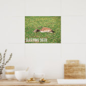 Slaapschutter in winterslaap in het najaar van de  poster (Keuken)