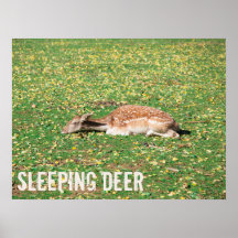 Slaapschutter in winterslaap in het najaar van de 