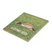 Slaapschutter in winterslaap in het najaar van de  tegeltje (Zijkant)