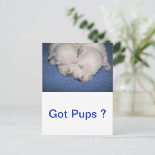 Slaapschuttertjes Briefkaart (Staand voorkant)