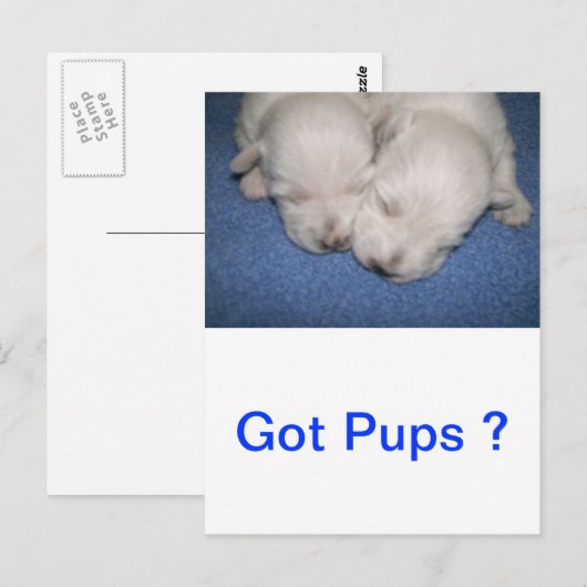 Slaapschuttertjes Briefkaart (Voorkant / Achterkant)