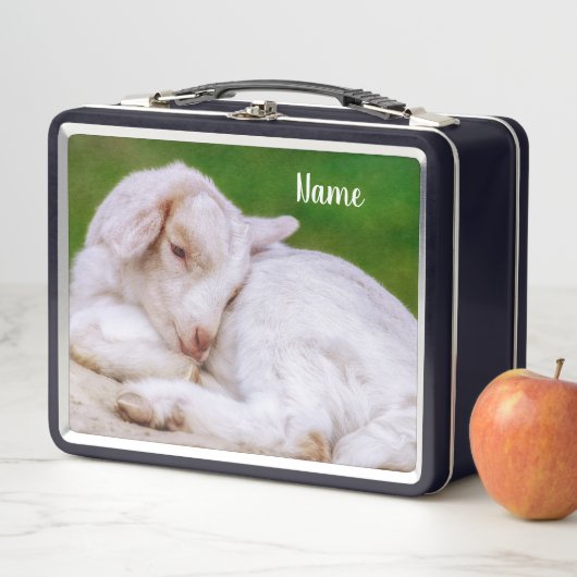 Slaapse Baby Geitte Kind (In situ)