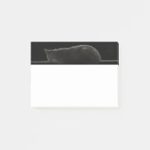 Slaapskat Silhouette