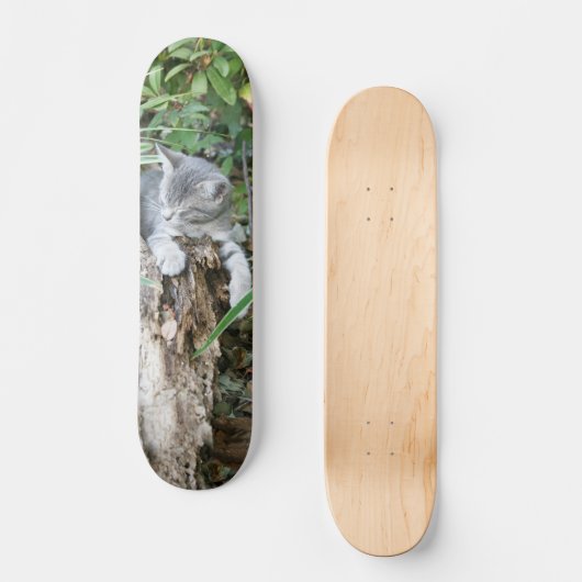 Slaapskateboard Persoonlijk Skateboard (Voorkant)