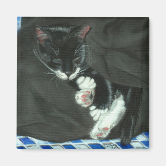 Slaapsmoking kat magneet