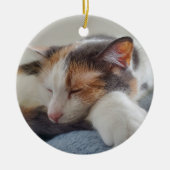 Slaapsnuipkat Keramisch Ornament (Voorkant)
