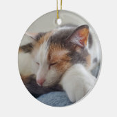 Slaapsnuipkat Keramisch Ornament (Links)