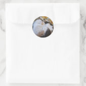 Slaapsnuipkat Ronde Sticker (Tas)