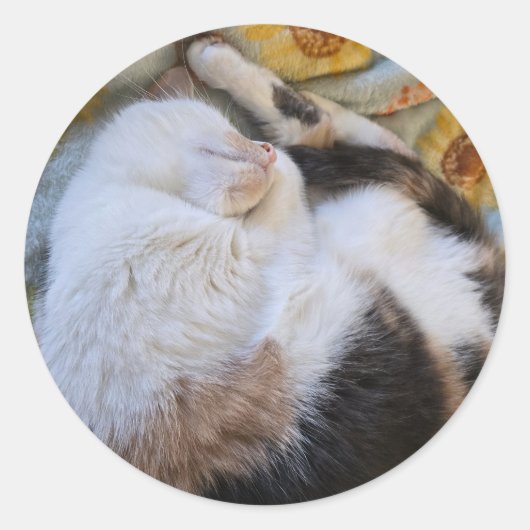 Slaapsnuipkat Ronde Sticker (Voorkant)