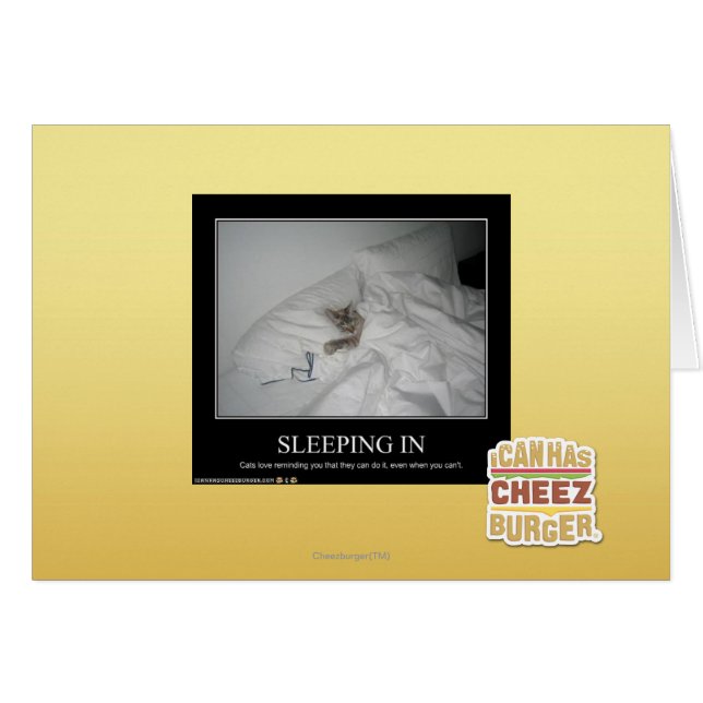 Slaapstand (Voorkant Horizontaal)