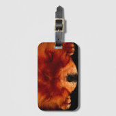 Slaapstand Chow bc ltcn Bagagelabel (Voorkant (verticaal))