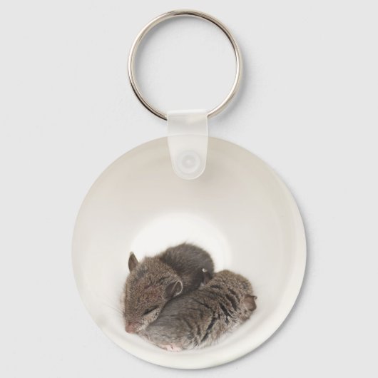 Slaapstand Cute Baby Mice Sleutelhanger (Voorkant)