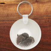 Slaapstand Cute Baby Mice Sleutelhanger (Voorkant)