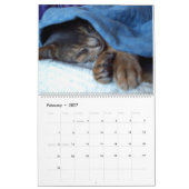Slaapstand Kalender (Feb 2027)