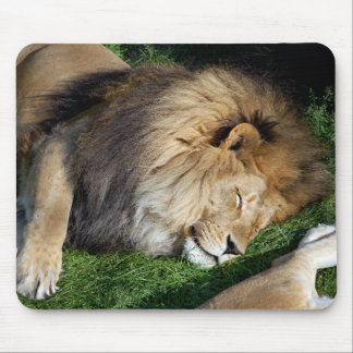 Slaapstand Lion Mousepad Muismat