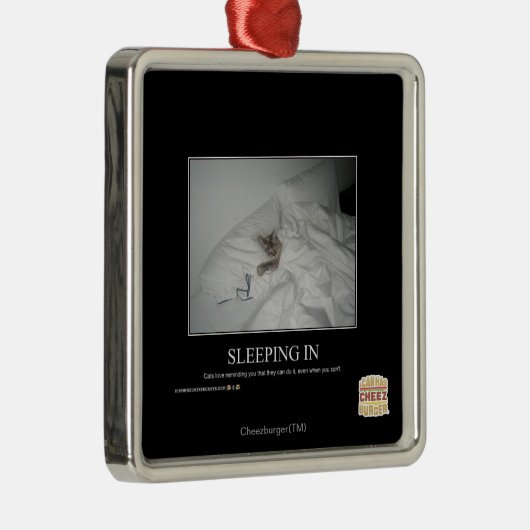 Slaapstand Metalen Ornament (Rechts)