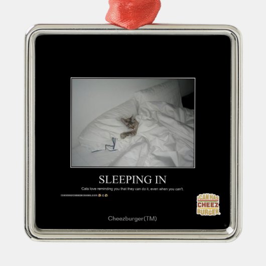 Slaapstand Metalen Ornament (Voorkant)