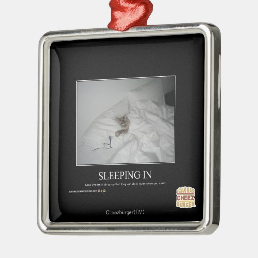 Slaapstand Metalen Ornament (Links)