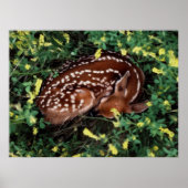 Slaapstand Poster (Voorkant)