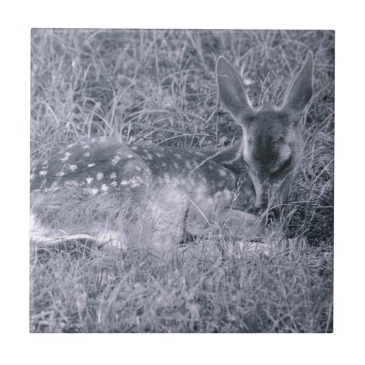 Slaapstand Tegeltje (Voorkant)