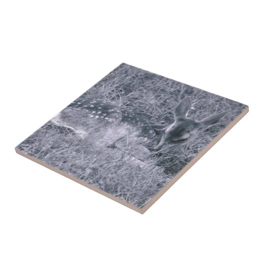 Slaapstand Tegeltje (Zijkant)