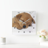 Slaapstand Vierkante Klok (Huis)