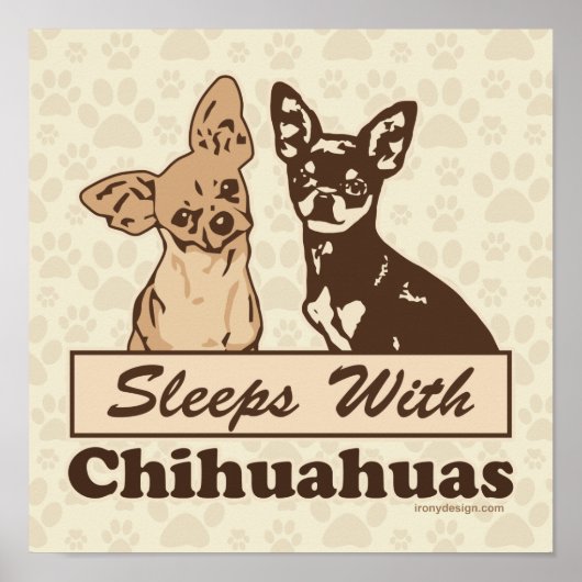 Slaapt Met Chihuahuas Hond Poster (Voorkant)
