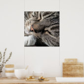 Slaaptablet Poster (Keuken)