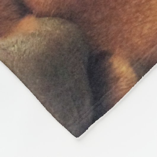 Slaaptijd. Fleece Deken (Hoek)