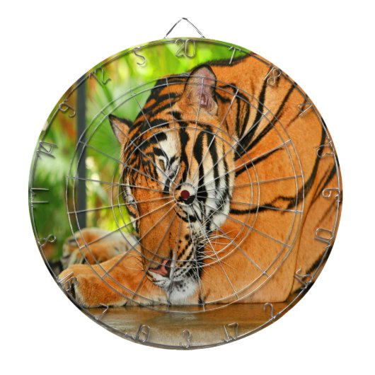 Slaaptijger Dartbord (Voorkant)