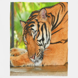 Slaaptijger Fleece Deken