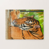 Slaaptijger Legpuzzel (Horizontaal)