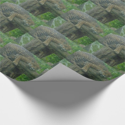 Slaaptijger op bomen, bos, Natuur, wild Cadeaupapier (Hoek)