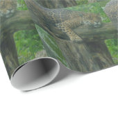 Slaaptijger op bomen, bos, Natuur, wild Cadeaupapier (Rol Hoek)