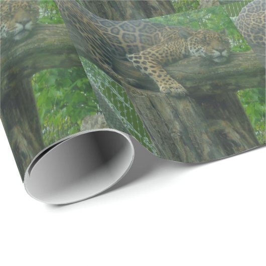 Slaaptijger op bomen, bos, Natuur, wild Cadeaupapier (Rol Hoek)