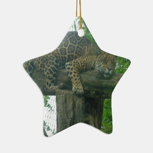 Slaaptijger op bomen, bos, Natuur, wild Keramisch Ornament (Rechts)