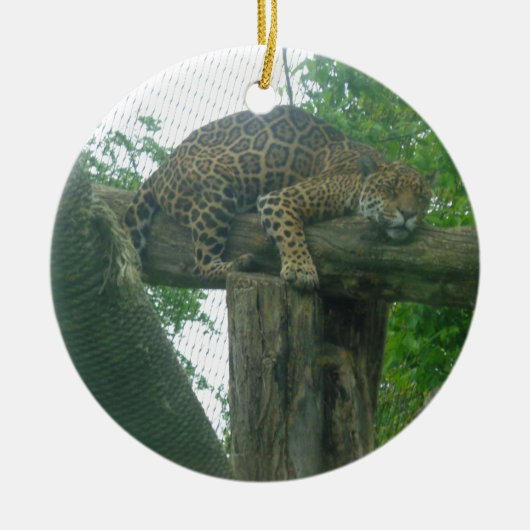 Slaaptijger op bomen, bos, Natuur, wild Keramisch Ornament (Voorkant)