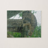 Slaaptijger op bomen, bos, Natuur, wild Legpuzzel (Horizontaal)