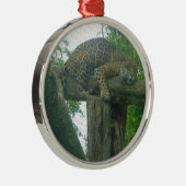 Slaaptijger op bomen, bos, Natuur, wild Metalen Ornament (Rechts)