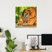 Slaaptijger Poster (Thuiskantoor)