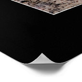 Slaaptijger Poster (Hoek)