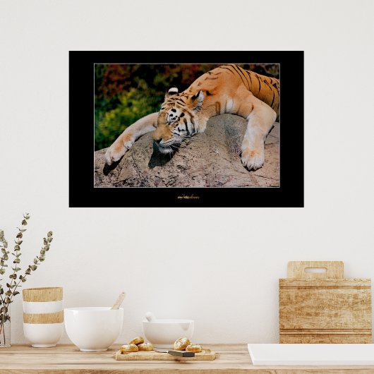 Slaaptijger Poster (Keuken)